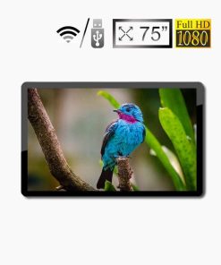 Màn hình quảng cáo LCD SAMSUNG / LG treo tường 75 inch