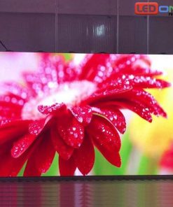 Màn hình LED P1.923 trong nhà