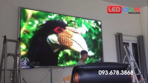 thi công màn hình LED P1.6 tại công ty xuân thiện