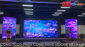 Thảm kịch giẫm đạp ở Itaewon – Bài học và kỹ năng thoát hiển trong đám đông