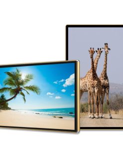 Màn hình quảng cáo Châu Âu 32 inch Smart Signage Display