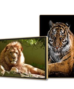 Màn hình quảng cáo Châu Âu 49 inch Smart Signage Display